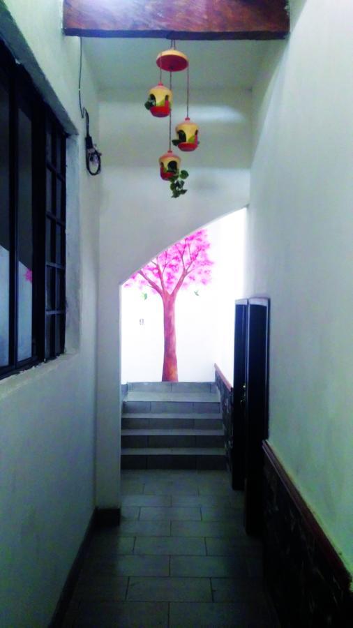 Hotel Falcon Tamasopo Bagian luar foto
