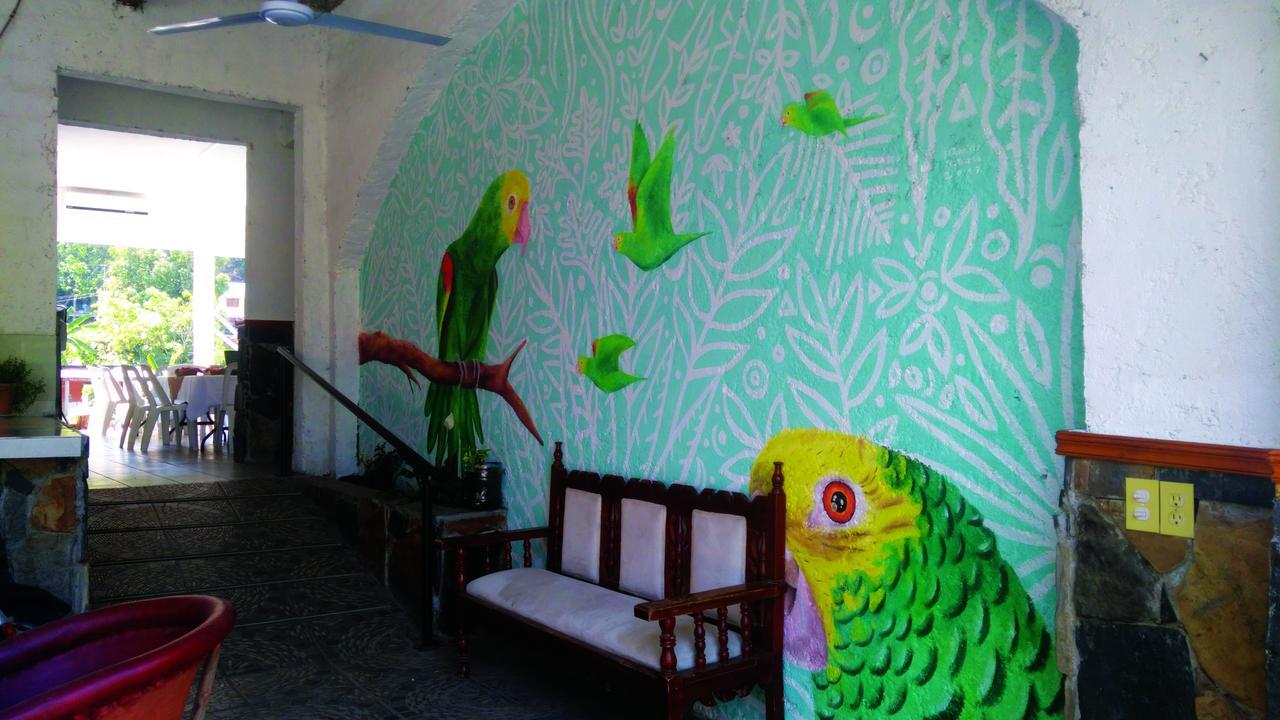Hotel Falcon Tamasopo Bagian luar foto